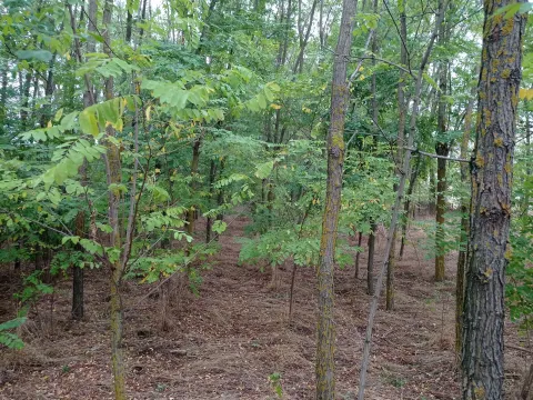 Zemljište in Kelebija