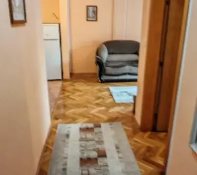 Rent, one bedroom apartment, 45m², Nova Detelinara, Novi Sad Sve Podlokacije - image 5