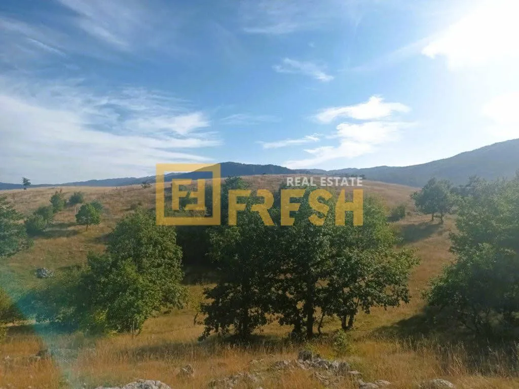 Prodaja, plac, 9000m², Plužine, Crna Gora
