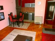 Izdavanje, jednosoban stan, 43m², Blok 9, Podgorica - image 4