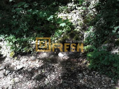 Prodaja, plac, 74000m², Kolašin, Crna Gora - image 10