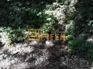 Prodaja, plac, 74000m², Kolašin, Crna Gora - image 10