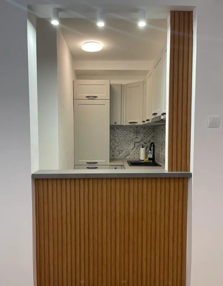 Rent, one bedroom apartment, 48m², Golubovina, Budva