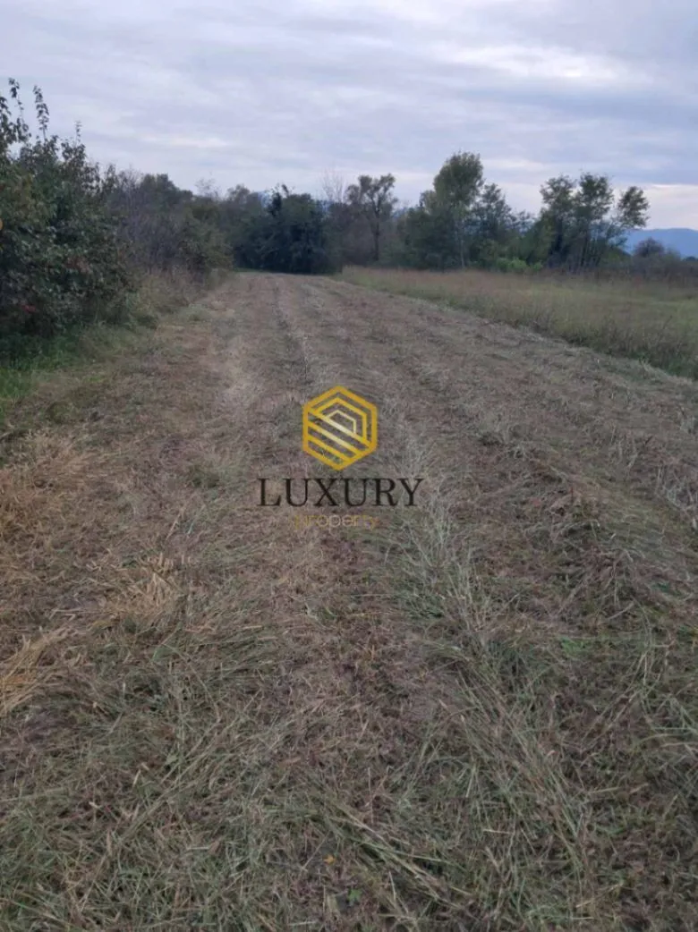 Prodaja, plac, 2890m², Zeta, Podgorica