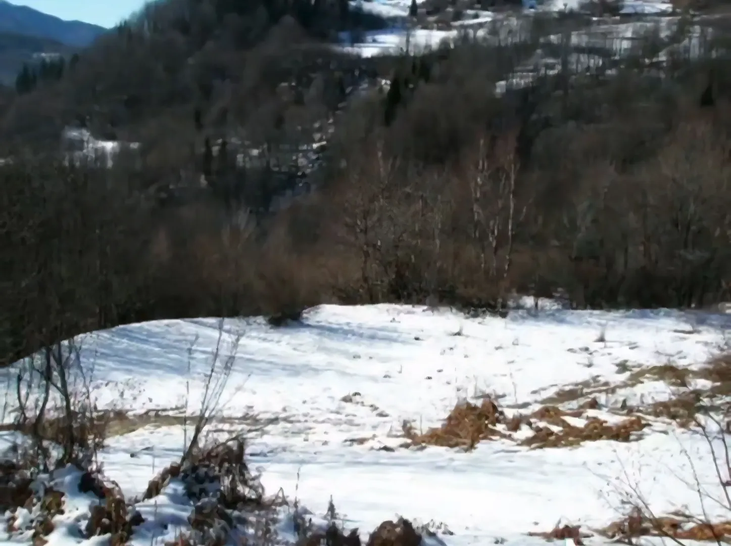 Pogled na zaleđeni planinski predio sa snijegom i šumom.