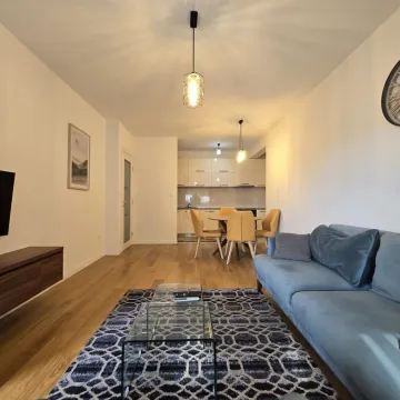 Izdavanje, jednosoban stan, 54m², Central Point, Podgorica - image 7