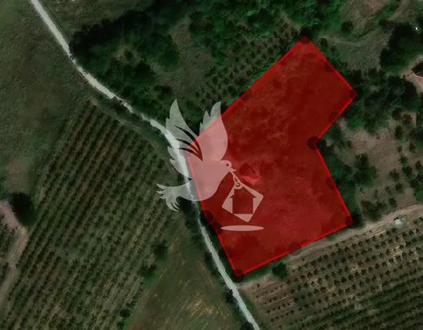 Prodaja, plac, 5329m², Centar, Topola
