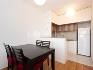 Izdavanje, jednosoban stan, 53m², Ljubović, Podgorica - image 3