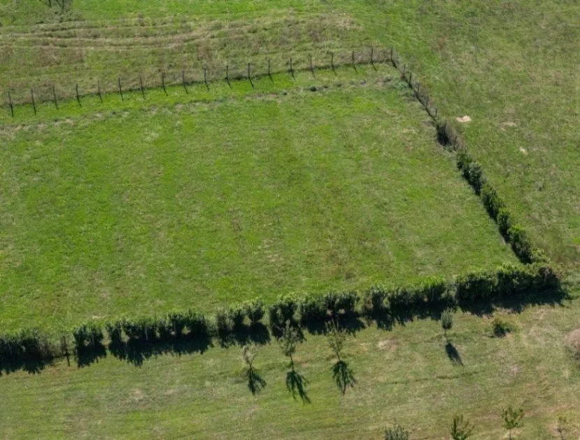 Prodaja, plac, 1677m², Begovina, Danilovgrad