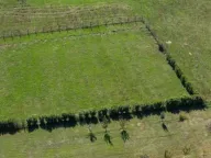 Prodaja, plac, 1677m², Begovina, Danilovgrad - image 2