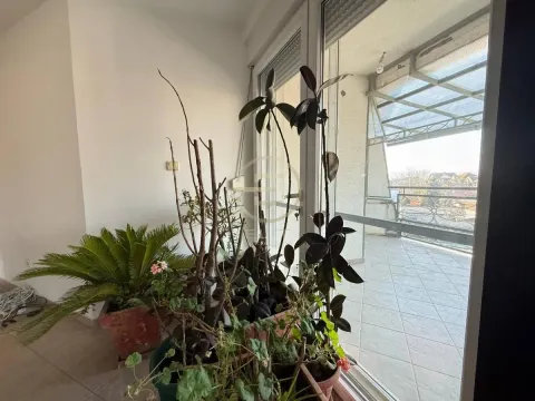 Prodaja, kuća, 473m², Veternička rampa, Novi Sad Sve Podlokacije - image 38