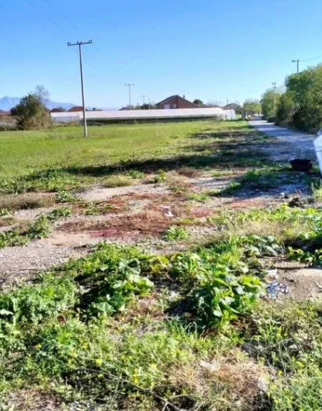 Sale, land lot, 7400m², Zeta, Podgorica