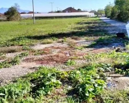 Sale, land lot, 7400m², Zeta, Podgorica