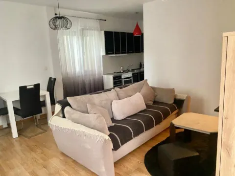 Izdavanje, jednosoban stan, 48m², Blok 9, Podgorica - image 10