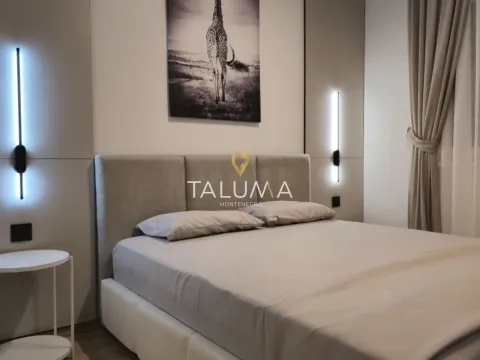 Izdavanje, jednosoban stan, 46m², Dalmatinska ulica, Podgorica - image 5