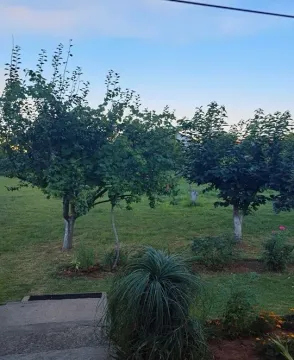 Zeleno dvorište sa travnjakom i voćkama. - image 3