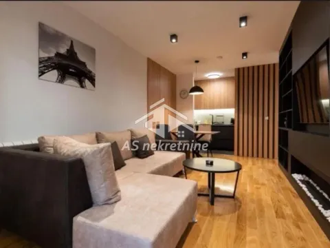 Izdavanje, dvosoban stan, 55m², Južni Bulevar, Vračar Sve Podlokacije - image 6