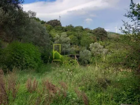 Prodaja, plac, 4000m², Kruče, Ulcinj - image 5