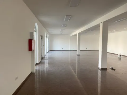 Izdavanje, poslovni prostor, 480m², Zemun Polje, Beograd - image 4