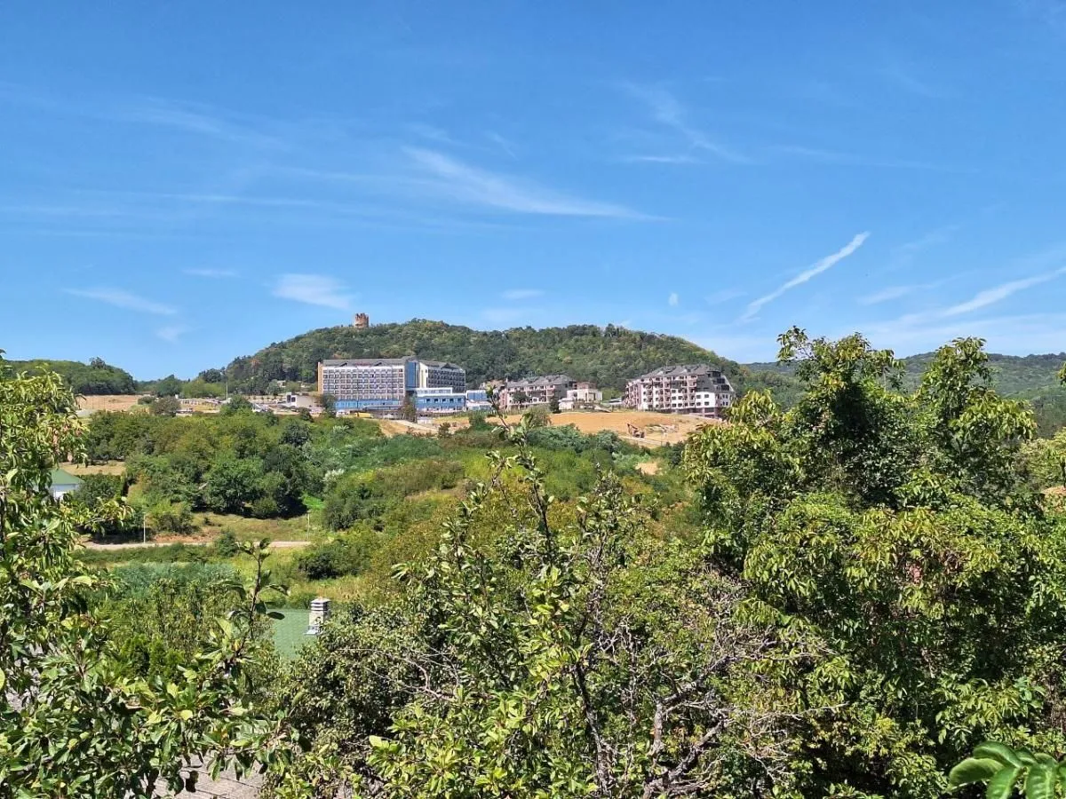 Sale, house, 253m², Banja Vrdnik, Irig