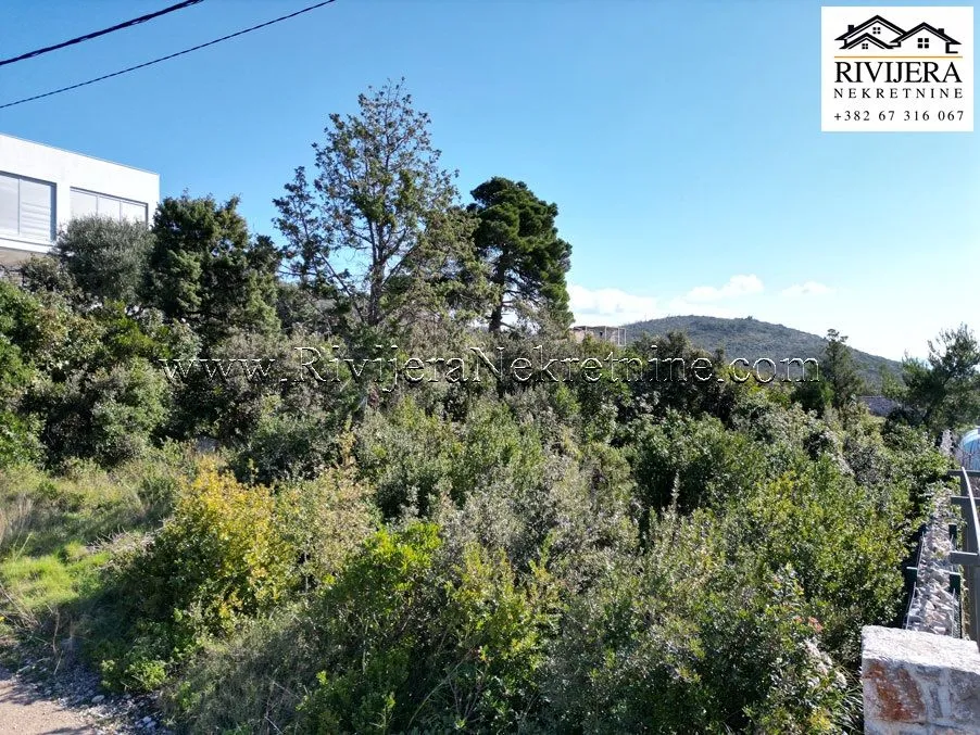 Prodaja, plac, 481m², Herceg Novi, Crna Gora