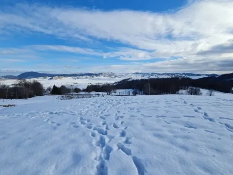 Sale, land lot, 700m², Pašina Voda, Žabljak - image 2