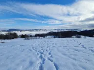 Prodaja, plac, 700m², Pašina Voda, Žabljak - image 2