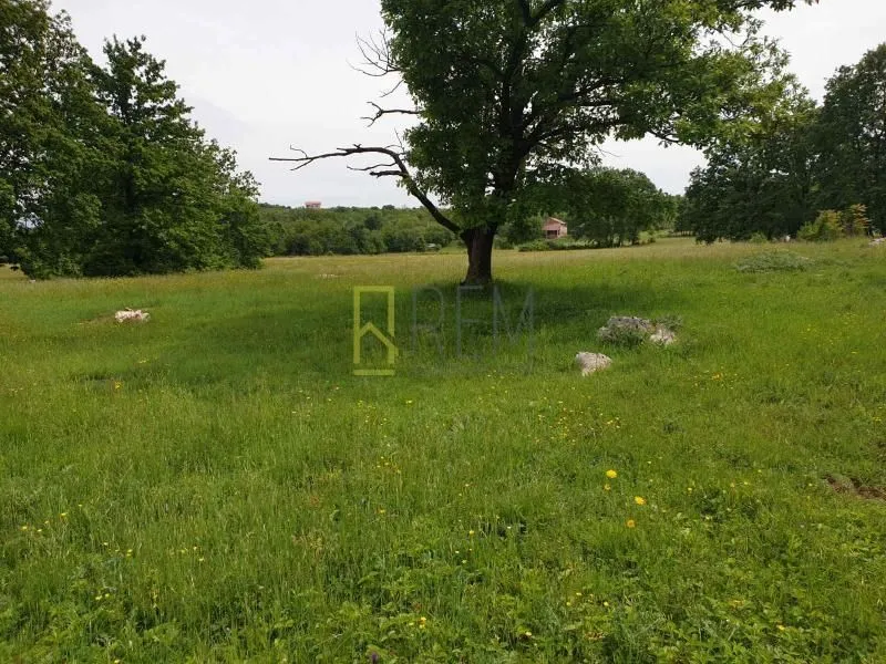 Prodaja, plac, 12000m², Spuž, Danilovgrad