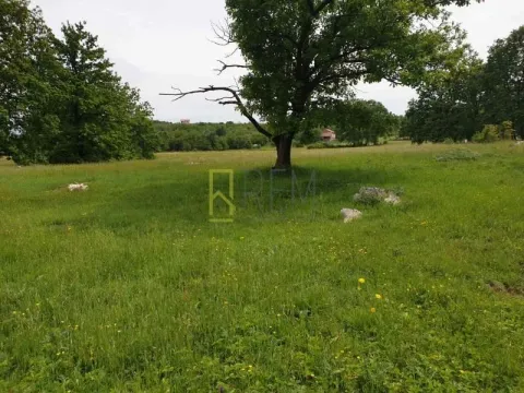 Prodaja, plac, 12000m², Spuž, Danilovgrad - image 3