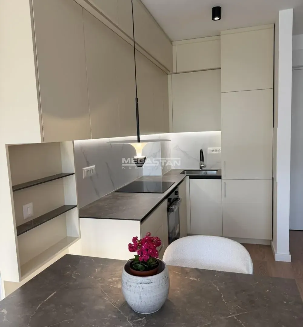 Izdavanje, dvosoban stan, 40m², Retenzija, Beograd