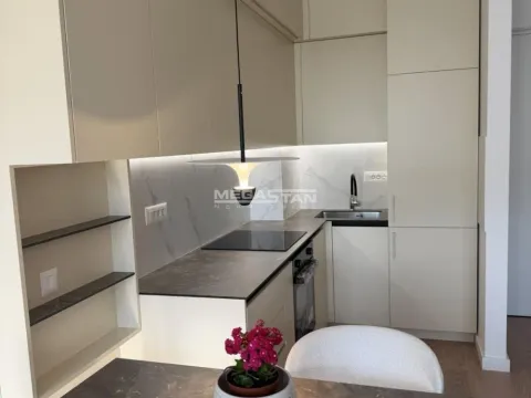 Izdavanje, dvosoban stan, 40m², Retenzija, Beograd - image 6
