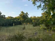 Prodaja, plac, 7605m², Podgorica, Crna Gora - image 1