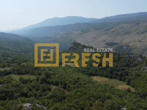 Prodaja, plac, 170000m², Danilovgrad, Crna Gora - image 3