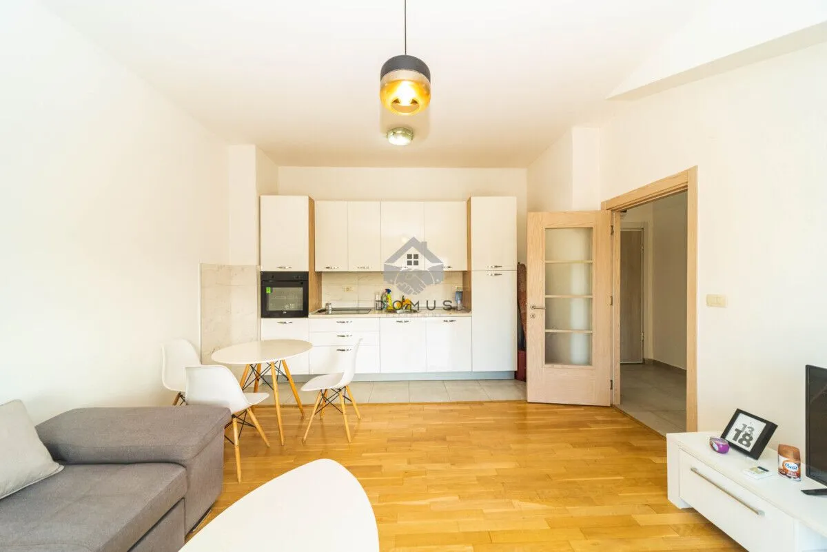 Izdavanje, jednosoban stan, 45m², Blok 9, Podgorica