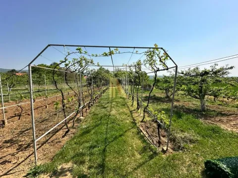 Sale, house, 75m², Banja Vrdnik, Irig - image 7