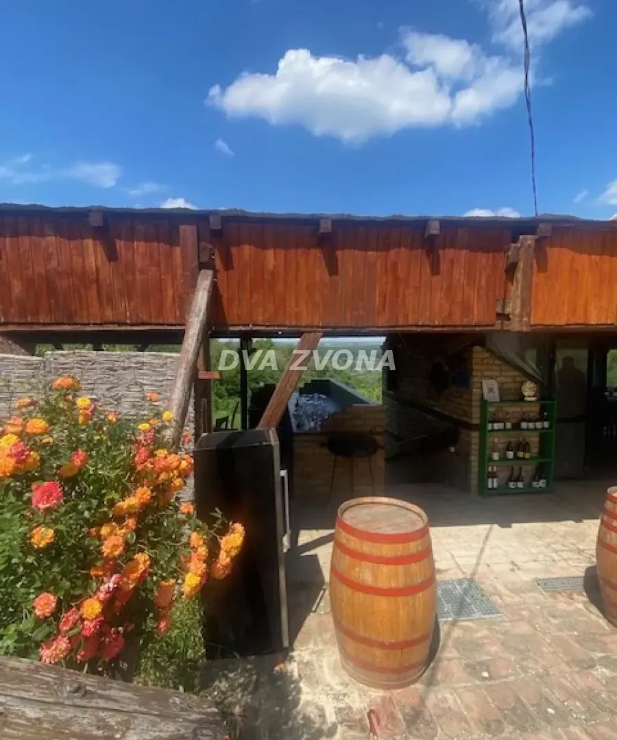 Prodaja, ugostiteljski objekat, 40m², Novi Slankamen, Inđija