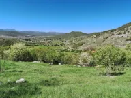 Prodaja,  zemljište, 26000m2, Čevo, Cetinje