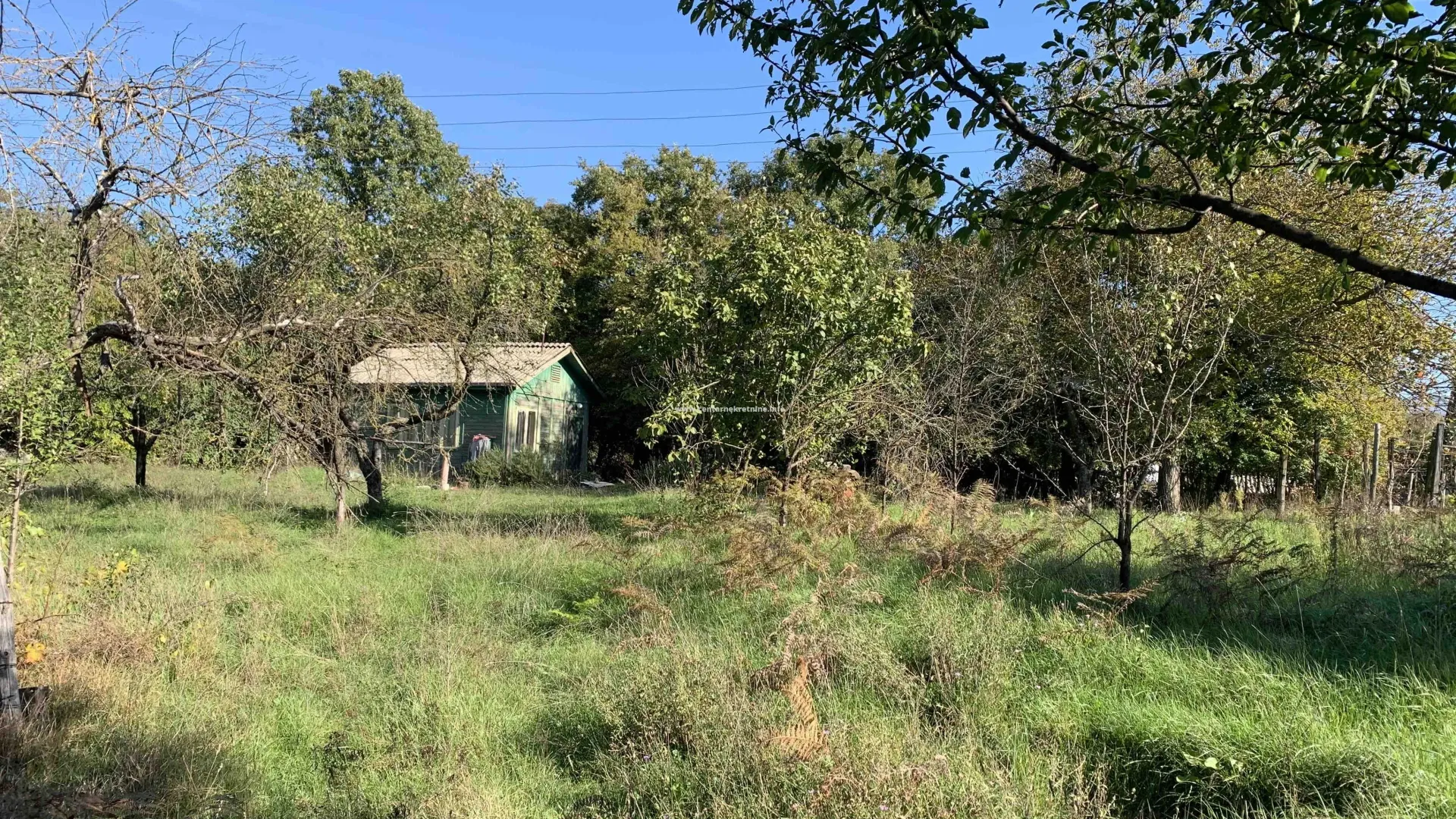 Prodaja, plac, 1500m², Daljam, Danilovgrad