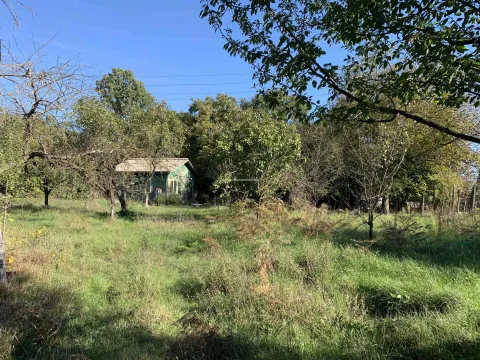 Prodaja, plac, 1500m², Daljam, Danilovgrad - image 4