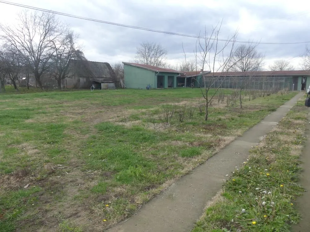 Prodaja, kuća, 113m², Ribare, Jagodina