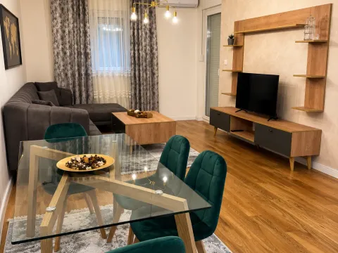 Rent, one bedroom apartment, 53m², Central Point, Podgorica - image 2