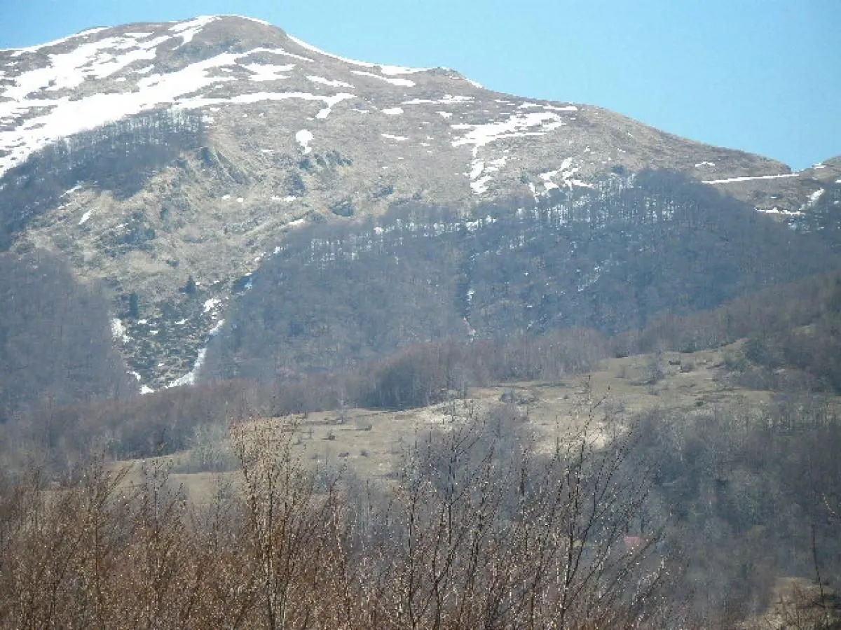 Prodaja, plac, 130000m², Kolašin, Crna Gora