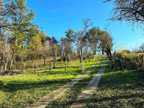 Sale, house, 45m², Čačak, Srbija - image 10