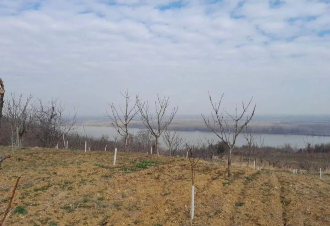 Prodaja, plac, 6400m², Plavinci, Grocka