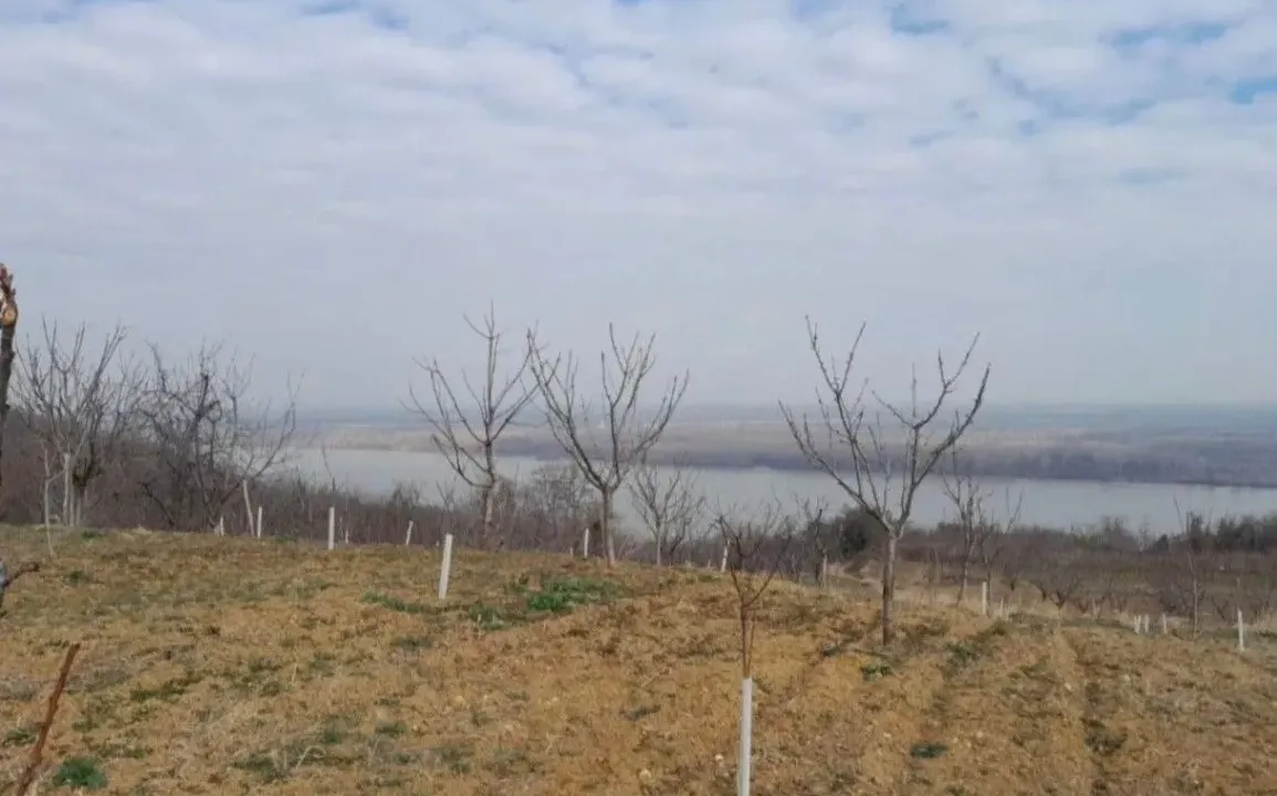 Prodaja, plac, 6400m², Plavinci, Grocka