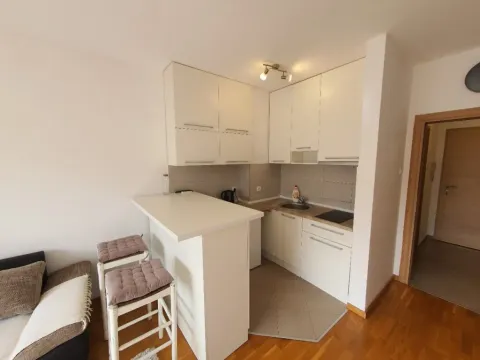 Izdavanje, garsonjera, 30m², Tuški Put, Podgorica - image 2