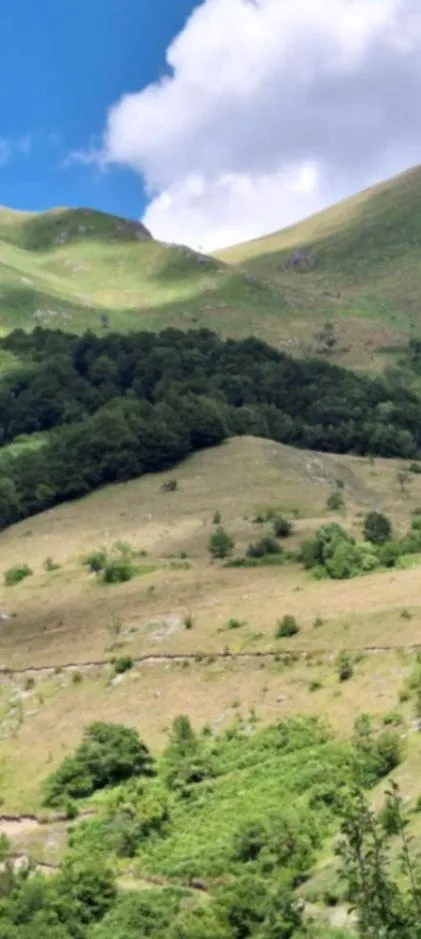 Sale, land lot, 162000m², Kolašin, Crna Gora