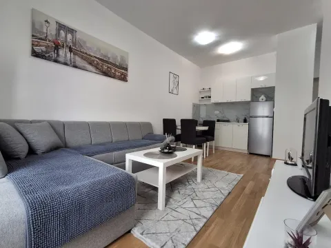 Izdavanje, stan, 36m², Zabjelo, Podgorica - image 2