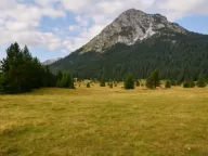 Sale, land lot, 1970m², Žabljak, Crna Gora - image 3