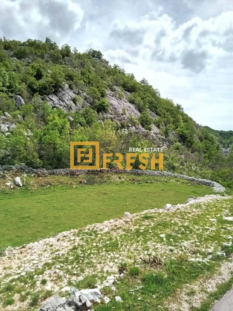 Prodaja, plac, 49212m², Cetinje, Crna Gora